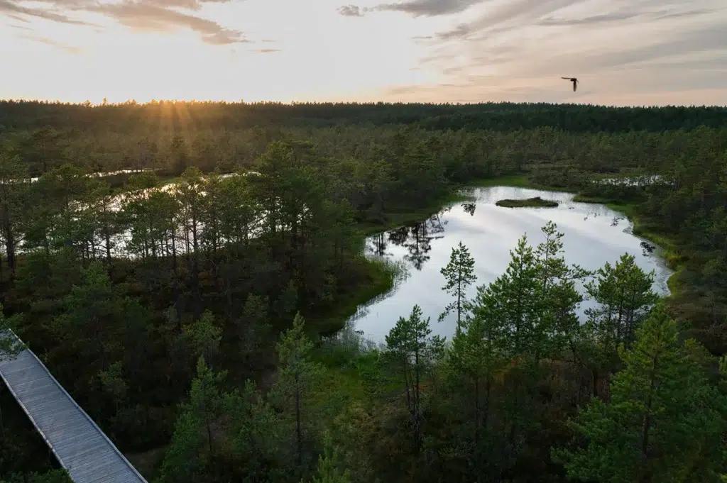 Lahemaa rahvuspark sai 55 aastaseks